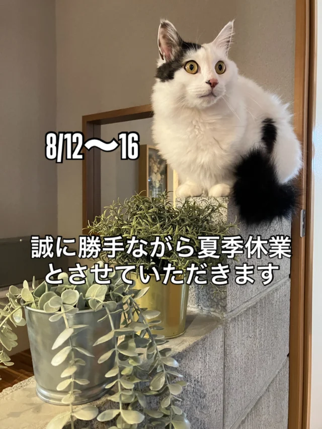8/12〜16まで、勝手ながらお盆休みをいただきます。まだまだ暑い日が続いています。どうぞ皆様お身体に気をつけて下さい🍧
