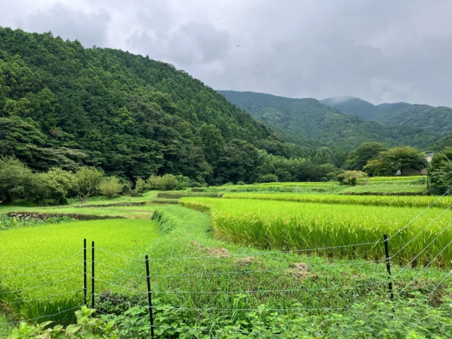 昨日は3週間ぶりの晴れ間でようやく無事にコンクリート打設が完了できました。(先読みで予約が取れて本当に良かった。職人さんに感謝)今年はこの時期の雨が本当に多く、参ってしまいます💦中々工事が進まずお待たせしているお客様にはご迷惑をおかけしておりますが、何卒よろしくおねがい致します。